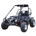 off Road Gas/Petrol 150cc 2 Seat Dune Buggy